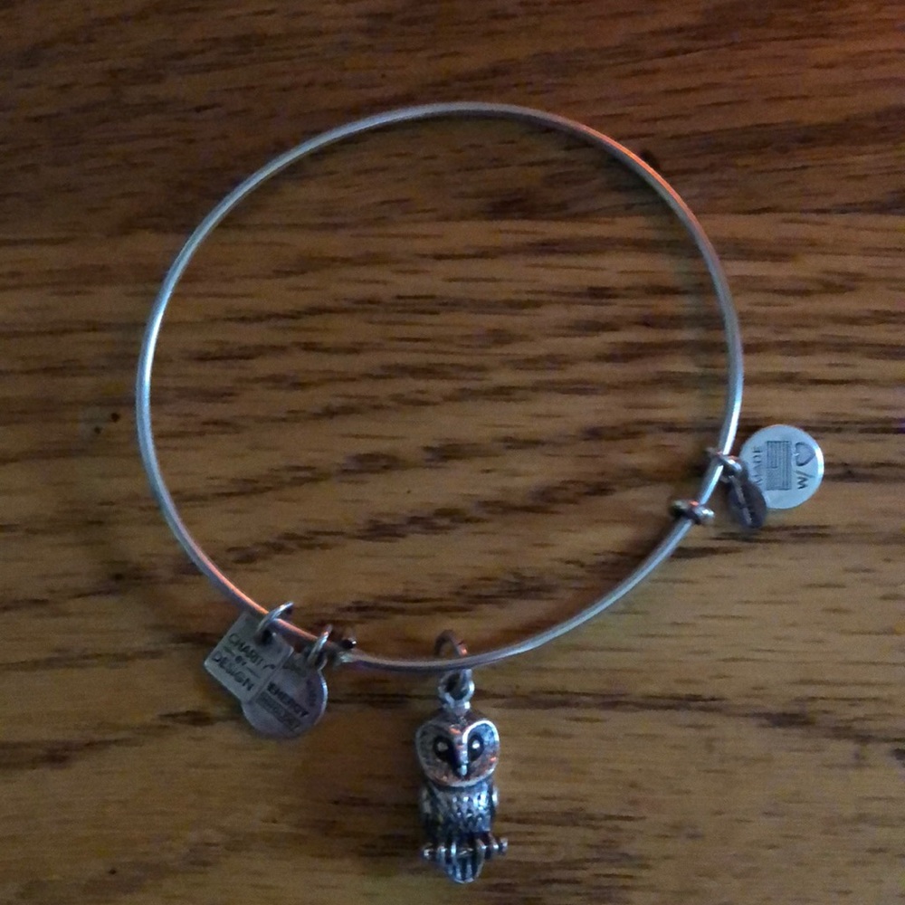 Owl Alex & Ani bracelet